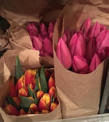 Букеты из живых цветов: Цветы Голландские Тюльпаны Оптом! Тюльпаны вместе с луковицами — 15