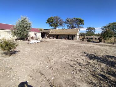 Torpaq sahələrinin satışı: 6 sot, Kənd təsərrüfatı, Kupça (Çıxarış) — 5