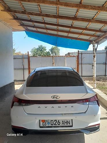 кио к5: Hyundai Avante: 2022 г., 1.6 л, Автомат, Бензин, Седан — 1