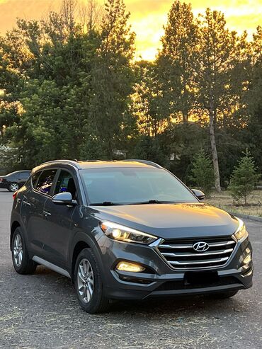 дом на колесах: Hyundai Tucson: 2017 г., 2 л, Автомат, Бензин, Кроссовер
