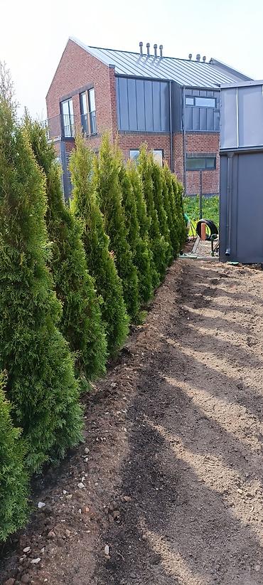 Теплицы: Теплицы — 16