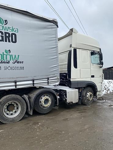 Тягачи: Тягач, DAF, 2019 г., Тентованный — 6