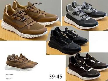 Patike: STEFANO RICCI, VRHUNSKI MODELI, MEGA HIT | Novo! ! ! Modeli za — 12