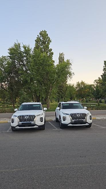 хёндай палисад: Hyundai Palisade: 2020 г., 2.2 л, Автомат, Дизель, Кроссовер — 1