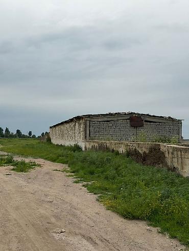 можно обмен: 100 соток, Для сельского хозяйства, Красная книга — 2