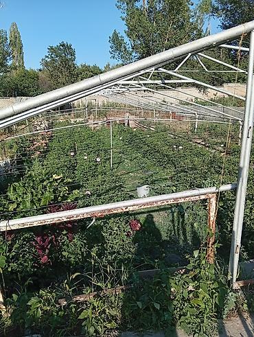 село гроздь: Продаётся дом с участком и хозяйственными постройками. Особенности: - — 3