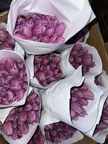 Букеты из живых цветов: Тюльпаны - Сорт: нежно-розовые тюльпаны с мягкой желтой каймой на — 6