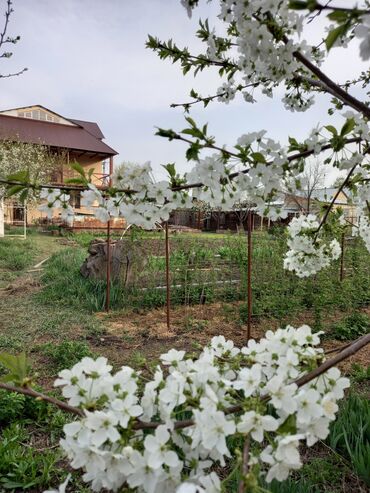 Продажа домов: Дом, 280 м², 8 комнат, Собственник — 15