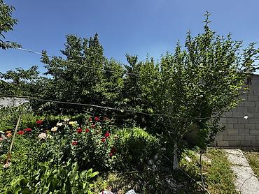исык куль номера: Срочно ‼️ Чортекова / Куюкова 8 соток, по факту 9,5 соток, с домом со — 7