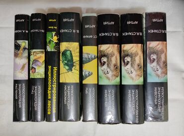 Bədii ədəbiyyat: Большая библиотека, большая часть книг томники, книги в 2-х, а то и в -da lalafo.az — 3 Bədii ədəbiyyat: Большая библиотека, большая часть книг томники, книги в 2-х, а то и в — 3