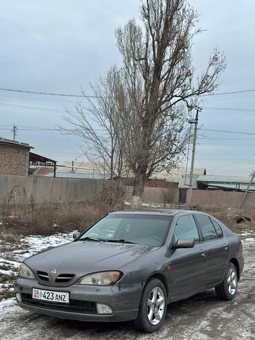 Nissan: Nissan Primera: 2000 г., 2 л, Вариатор, Бензин, Хэтчбэк