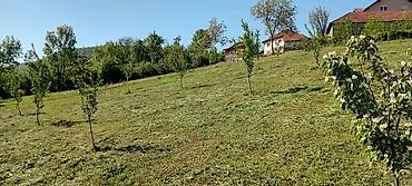Kuće na prodaju: Kuća sa imanjem i pomoćnim objektima – grejanje na drva dva nivoa - — 14