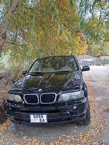 led лампа на авто: BMW X5: 2002 г., Автомат, Кроссовер — 5