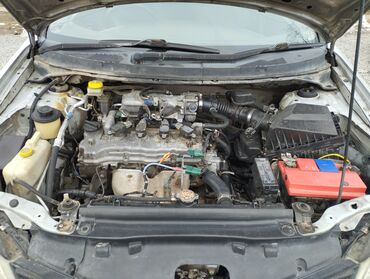 Nissan: Nissan Primera: 2002 г., 1.8 л, Бензин, Хэтчбэк — 11