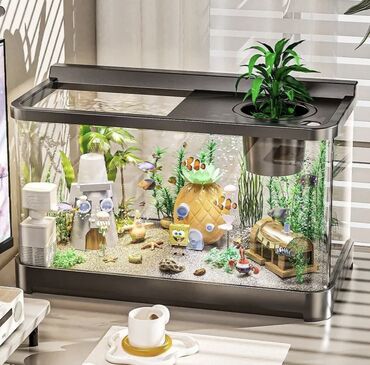 миринос кой: 🌿🐠 Аквариум, который оживит любой интерьер! Создайте уютный подводный