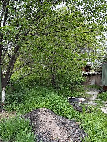 Жер тилкелери: 8 соток, Сатып алуу-сатуу келишими — 1
