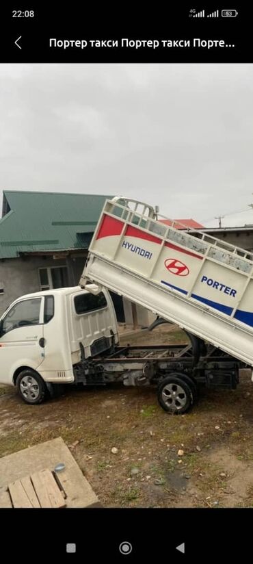 песок для животных: Башка жаныбарлар