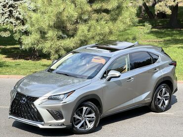 лебедка на авто: Lexus NX: 2019 г., 2 л, Вариатор, Гибрид, Кроссовер