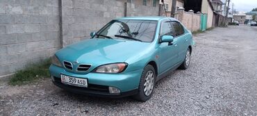 нисан сифира: Nissan Primera: 2000 г., 1.8 л, Механика, Бензин, Седан