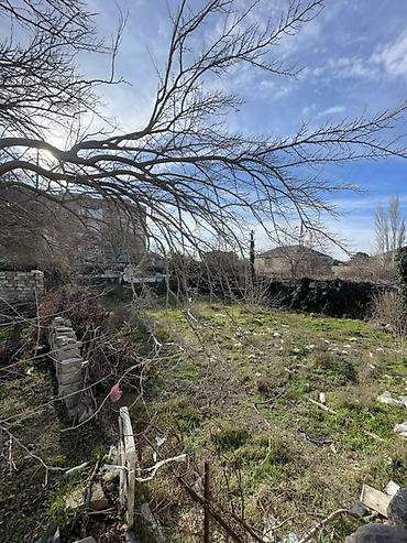 salyan: 10 sot, Makler, Kupça (Çıxarış) — 3