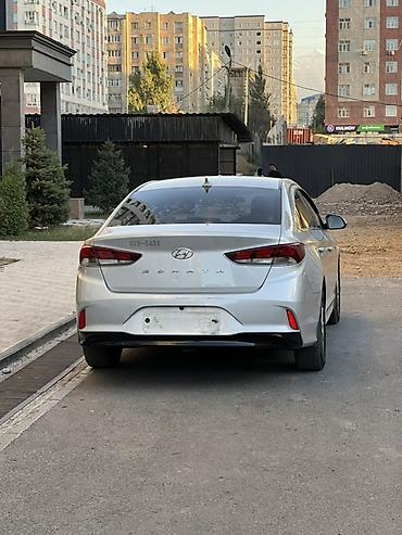 byd e2: Hyundai Sonata: 2019 г., 2 л, Автомат, Газ, Седан — 4
