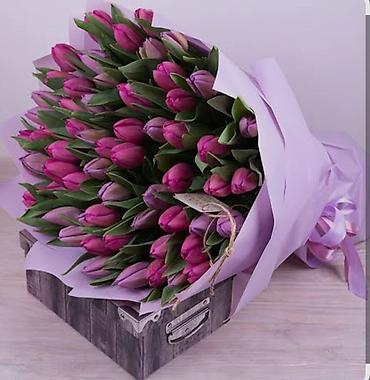 Букеты из живых цветов: Тюльпаны срезанные в наличии в ограниченном количестве -В продаже есть — 5