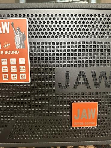 jbl 320: Портативная акустическая система JAW USA Super Sound - Модель: JAW — 5