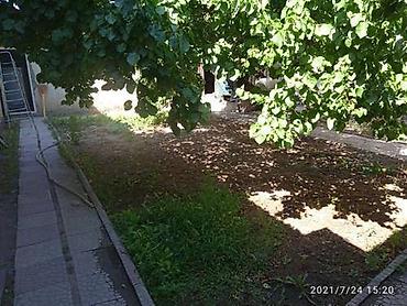 куплю мед: Пансион по уходу за тяжелобольными Пансион по уходу за — 4