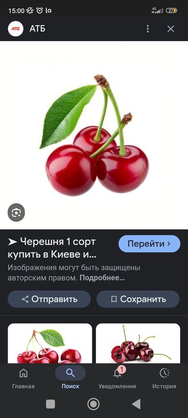оборудование для мороженое: Продаем свежесобранные черешни
