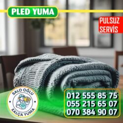 Xalçaların yuyulması: Xalçaların yuyulması | Xalçalar — 4