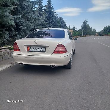 Аренда кортежа: Сдаю Mercedes-Benz S-Class для кортежа, С водителем, Седан — 4