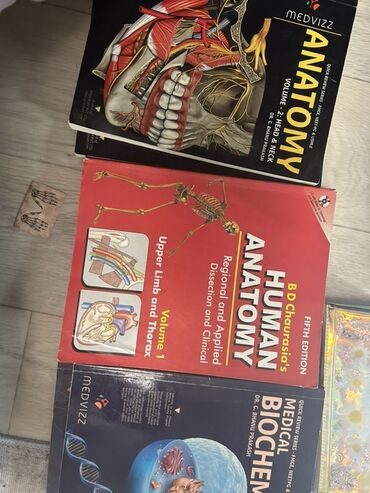 реставрация зубов 5 класс по блэку: Набор учебников по медицине и смежным дисциплинам на английском языке