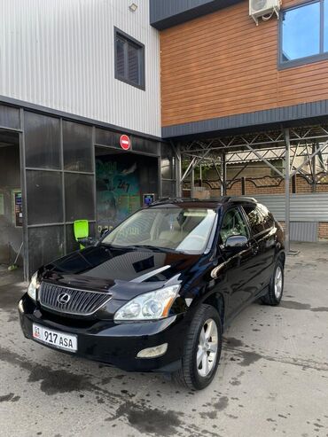 фит авто: Lexus RX: 2004 г., 3.3 л, Автомат, Бензин, Кроссовер