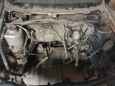 Avtomobil qapıları: Sağ arxa, Chery AMULET, 2008 il, Çin, Ünvandan götürmə — 5