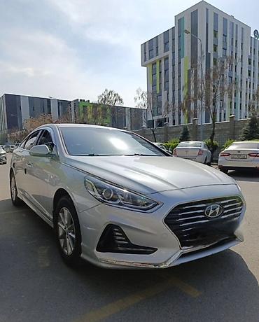 mark x: Аренда автомобилей Syibak Rent Changan Электричка 6000с. в сутки — 3