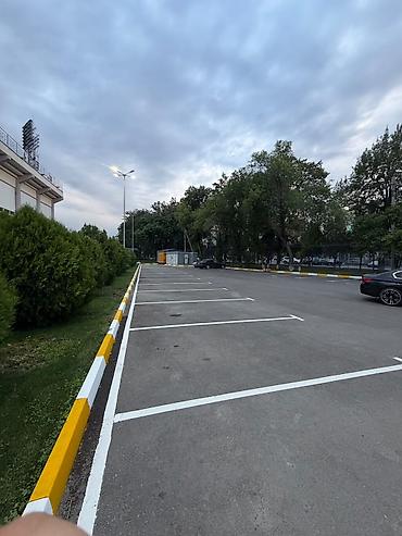 для волейбол: Разметка дорог, парковок и спортивных площадок Профессионально наносим — 7