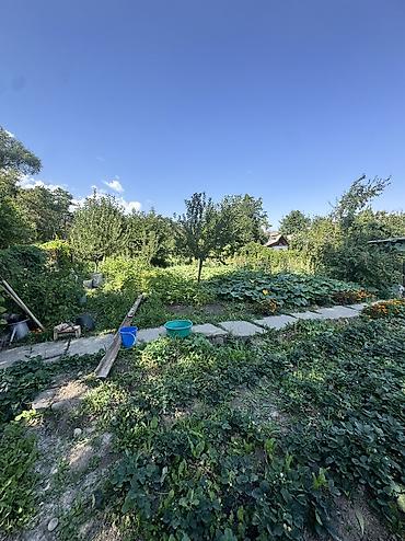 сузики вагон р: 🏡 ПРОДАЁТСЯ ДАЧА В КАШКА-СУУ | БИШКЕК Продаётся уютная дача в — 4