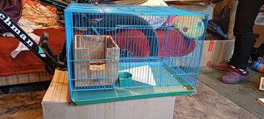 зоомагазин бишкек птицы: Продаю клетку для попугаев в отличном состоянии и переносную маленькую