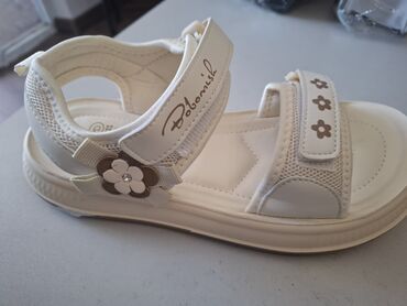 прогулочные коляски adbor oskar sport: Pasanuska 18m