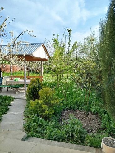 Günlük kirayə evlər: 100 kv. m, 2 otaqlı -da lalafo.az — 5 Günlük kirayə evlər: 100 kv. m, 2 otaqlı — 5