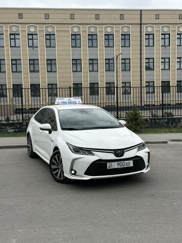 обучение на электрика: Курсы вождения | (B) | Частный инструктор