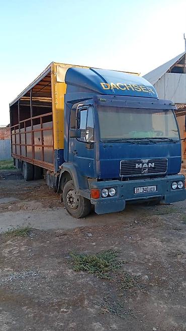 прицеп для перевозки животных: Грузовой автомобиль MAN (тентованный фургон/борт-тент) - — 1