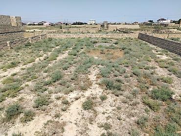 Torpaq sahələrinin satışı: 6 sot, Tikinti, Kupça (Çıxarış) -da lalafo.az — 4 Torpaq sahələrinin satışı: 6 sot, Tikinti, Kupça (Çıxarış) — 4