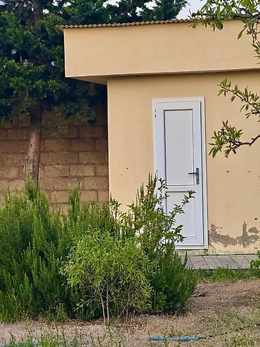 masazlr: Bağ çox çox təcili pul lazım olduğu üçün ev yiyəsi tərəfinnən satılır — 8