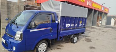 Легкий грузовой транспорт: Легкий грузовик, Kia, Стандарт, Новый — 3