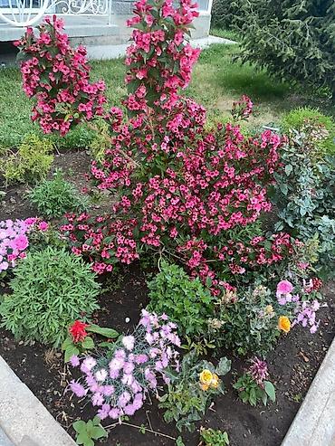 Долгосрочная аренда квартир: 2 комнаты, С мебелью полностью — 22