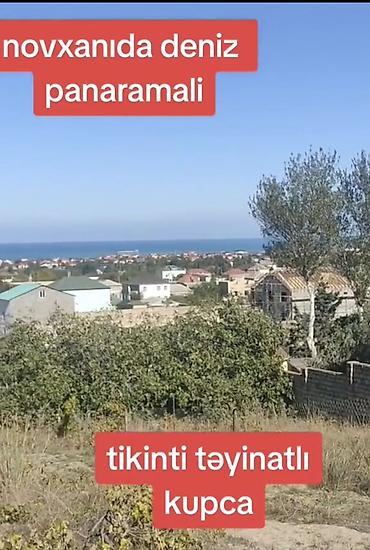 Torpaq: 12 sot, Mülkiyyətçi, Kupça (Çıxarış) — 1
