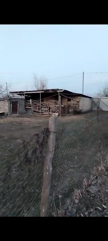 Həyət evləri və villaların satışı: 20 sot heyeti. Heyetinde dami heyvan saxlamgcun. hamam tualet — 13