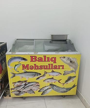 Şüşəli dondurucu