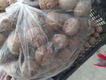 сахар прадаю: Продаю грецкие орехи, оптом, килло 100 сом. Всего 4 мешка